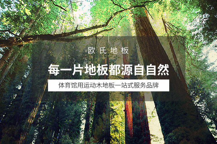 羽毛球場體育運動木地板 羽毛球場體育運動木地板