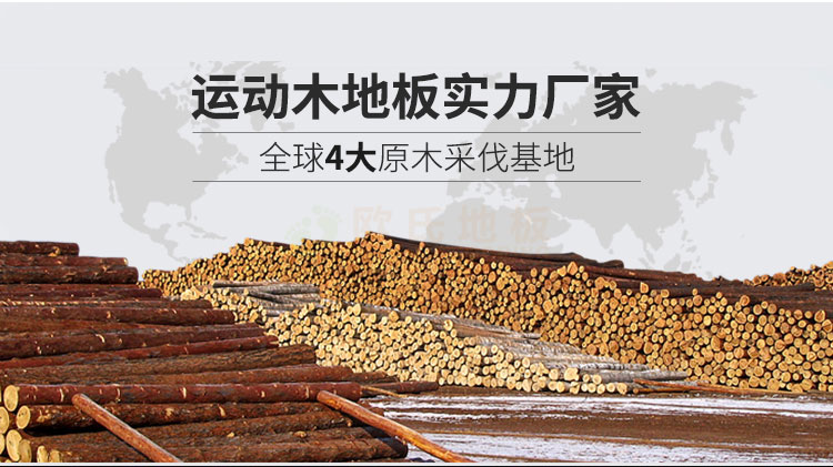 羽毛球場體育運動木地板 羽毛球場體育運動木地板